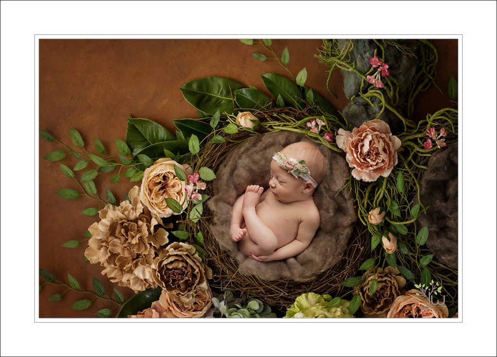 Best Lacey newborn photographer